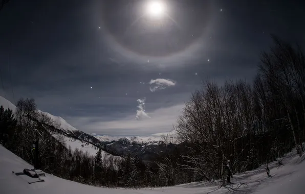 Зима, деревья, ночь, луна, хало, Кудашкина Ксения, Moon Halo