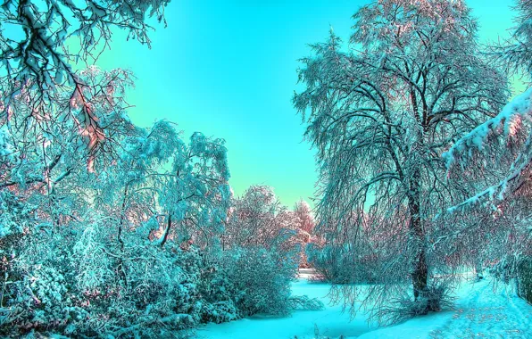 Зима, небо, снег, утро, мороз, Пейзаж