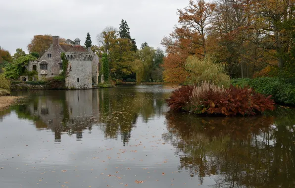 Картинка Озеро, Fall, Autumn, Colors, Lake, Trees, Scotney Castle, Замок Скотни