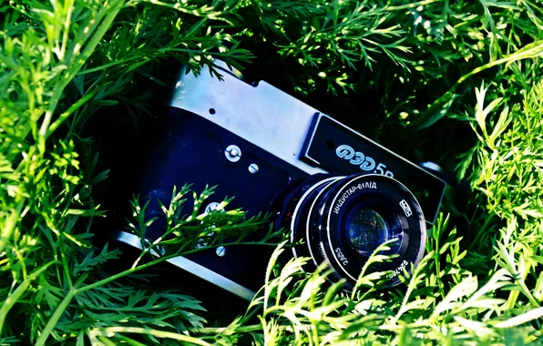 Зелень, трава, фотоаппарат, обьектив