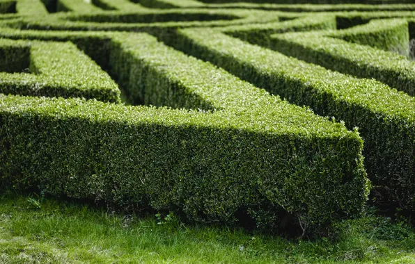 Art, gardening, neatness