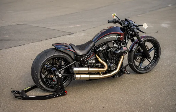 Harley-Davidson, Tuning, Softail, Rear, Breakout, Customized, Thunderbike, Custombikes