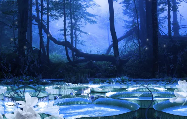 Картинка деревья, ночь, природа, луна, Виктория