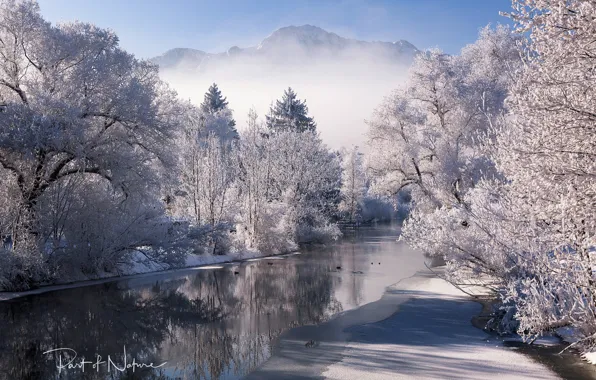 Картинка зима, снег, деревья, горы, природа, река