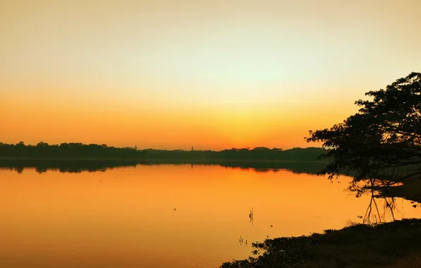 Sun, Water, Sunrise, Dawn, Morning, Lake, Trees, Reflection