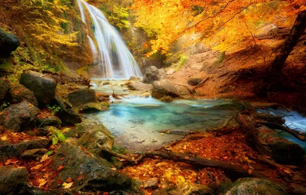 Colorful, forest, beautiful, autumn, leaves, waterfall, fall, foliage