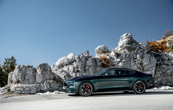 Mustang, Ford, вид сбоку, 2018, Bullitt