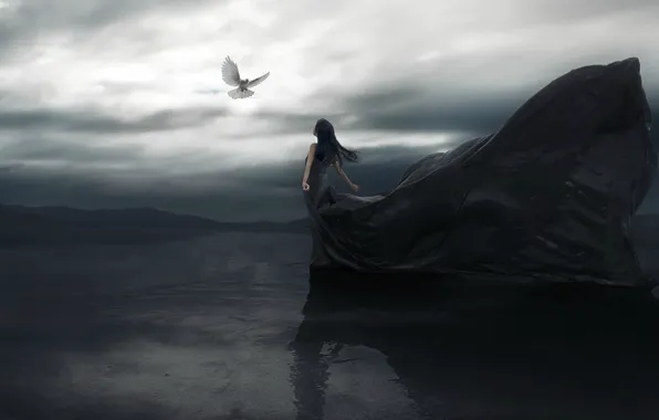 Картинка девушка, отражение, платье, арт, голуби