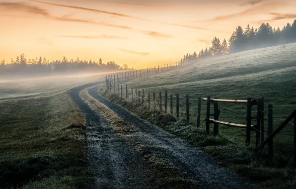 Картинка дорога, поле, природа, туман, забор, утро