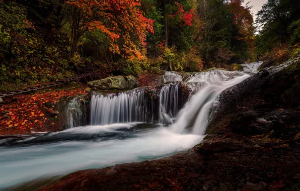 Осень, лес, листья, камни, водопад, листопад