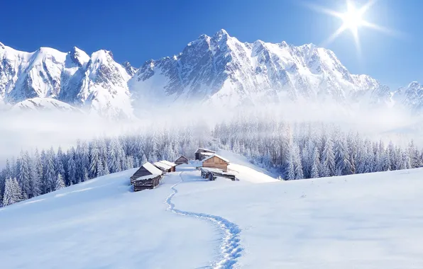 Картинка зима, лес, небо, солнце, снег, деревья, горы, туман