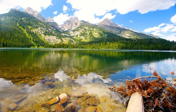 Пейзаж, горы, природа, озеро, Grand, США, Wyoming, Bradley