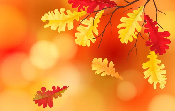 Картинка листья, фон, autumn, leaves, осенние, fall