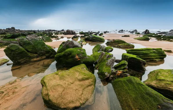 Море, пейзаж, камни
