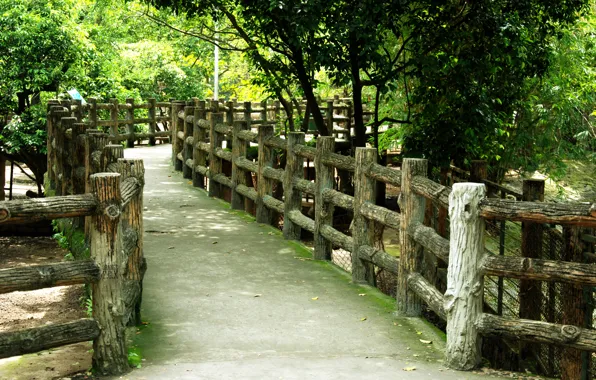 Green, nature, bridge, wood, tree