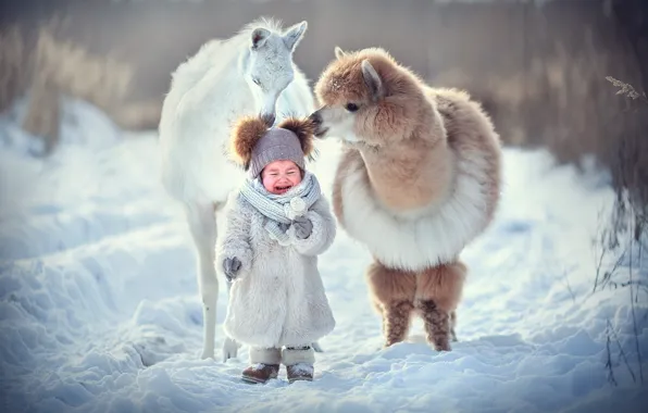 Природа, Зима, Животное, Малышка