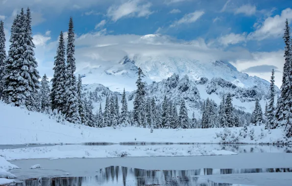 Картинка зима, снег, деревья, горы, озеро, ели, Mount Rainier National Park, Национальный парк Маунт-Рейнир