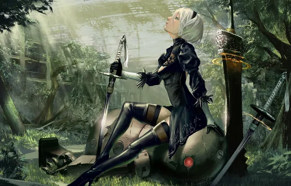 Девушка, робот, меч, киборг, Nier Automata, YoRHa No.2 Type B