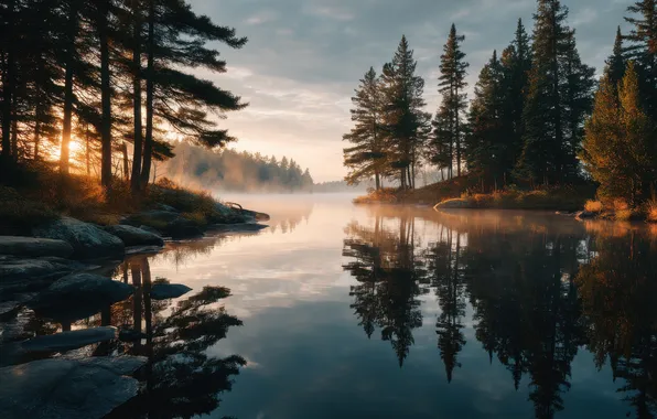 Лес, небо, солнце, облака, деревья, туман, озеро, отражение