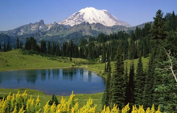 Картинка деревья, горы, природа