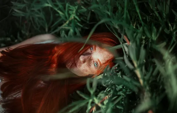 Трава, девушка, лицо, настроение, веснушки, рыжая, рыжеволосая, длинные волосы