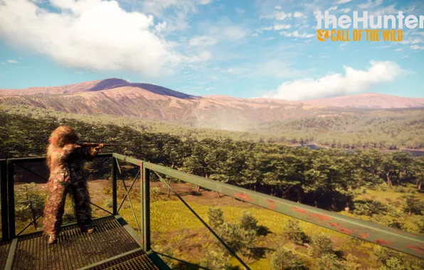 Игра, вышка, Охота, theHunter Call of the Wild™