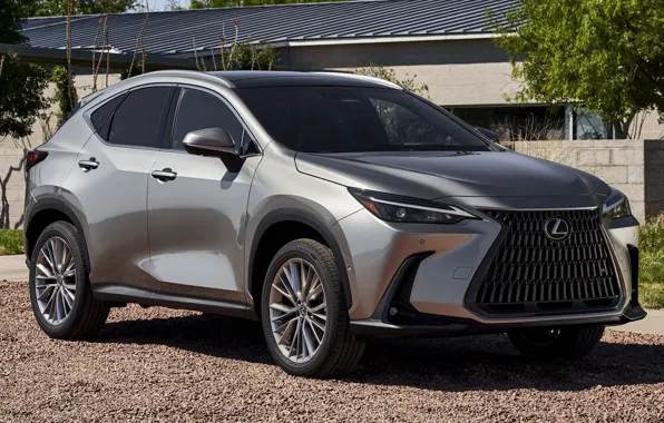 Картинка luxury, SUV, structure, exterior, Lexus NX, 2022, Lexus NX Hybrid, silver metallic