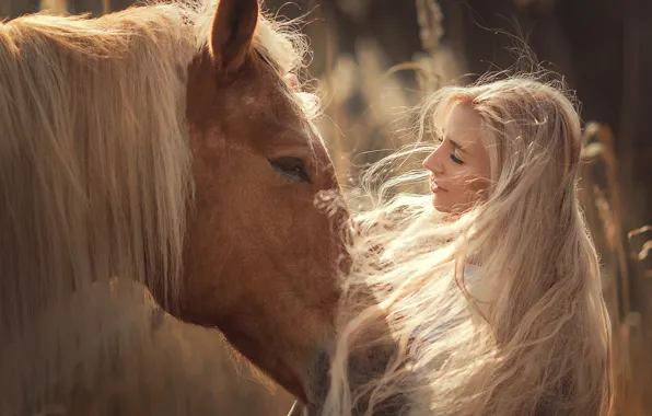 Морда, девушка, лицо, настроение, конь, лошадь, грива, длинные волосы