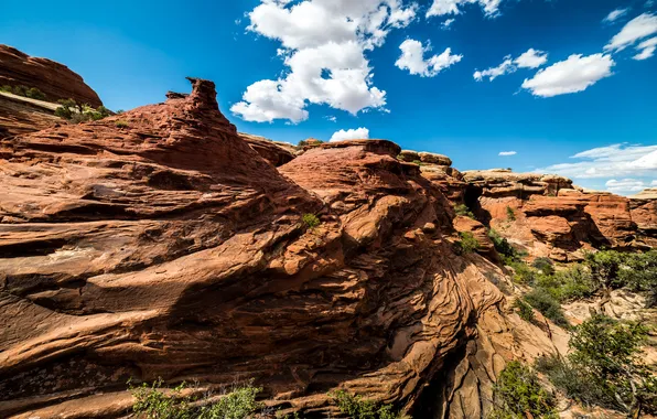 Картинка природа, скалы, национальный парк, Utah, Canyonlands National Park, Chester Park