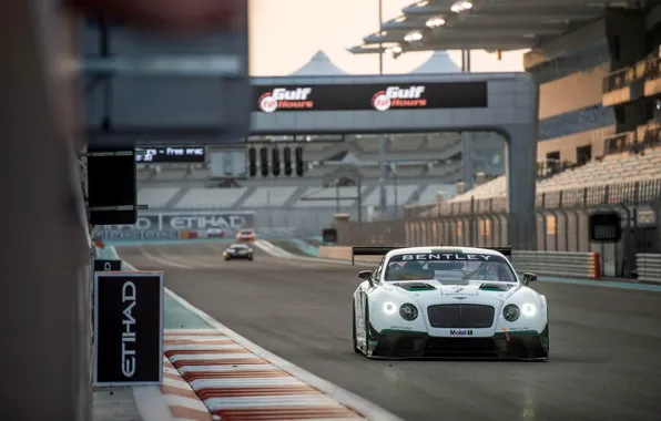 Bentley, Continental, GT3, 2014