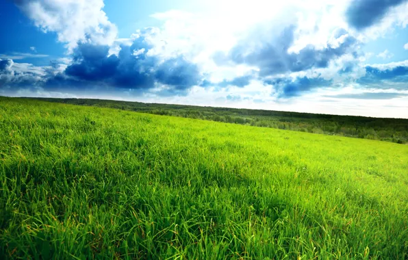Картинка поле, трава, облака, пейзаж, горизонт, зелёное, green field, густая