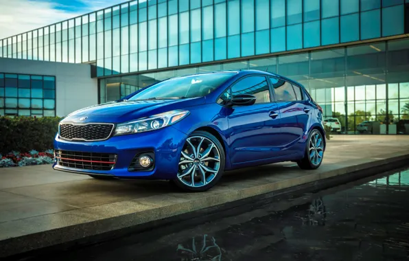 Картинка Blue, Kia, 2016, Forte5