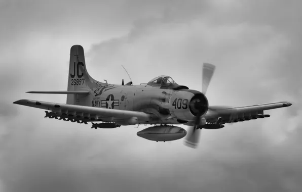 Штурмовик, «Скайрейдер», Skyraider, A-1