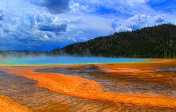 Небо, деревья, озеро, пар, США, гейзер, Yellowstone National Park