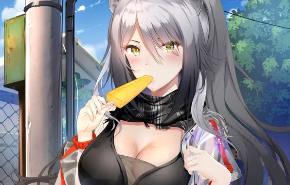 Girl, sexy, cleavage, long hair, boobs, animal ears, anime, beautiful