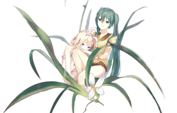 Листья, девочки, Hatsune Miku, Vocaloid, Вокалоид, Рин, Хатсуне Мику