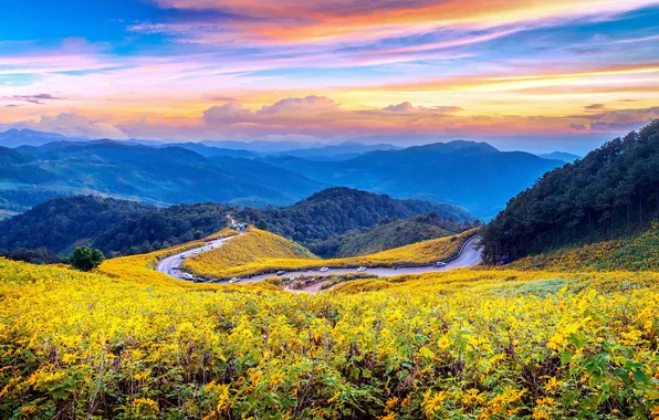 Картинка Закат, Облака, Горизонт, Sunset, Живописный Пейзаж, Winding Mountain Road, Поле подсолнухов, Извилистая горная дорога