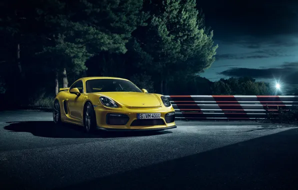 Porsche, Cayman, порше, GT4, 2015, 981C, кайман