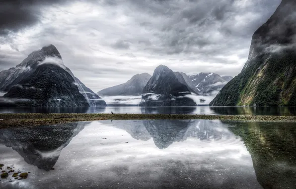 Картинка горы, озеро, птица, New Zealand, Milford Sound, Southland