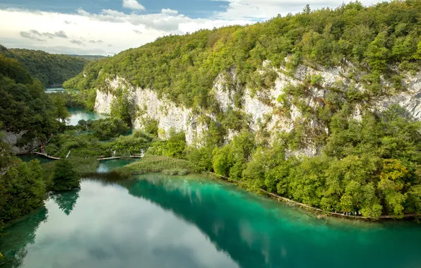 Картинка лес, мост, скала, река, Хорватия, Плитвицкие озера