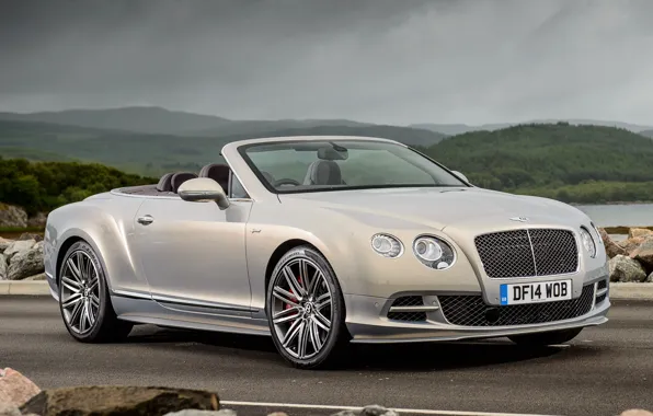Continental, bentley, speed, uk-spec_1