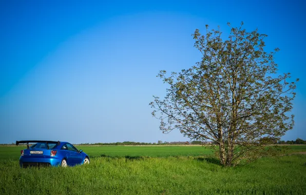Май, Celica, фотосесия, Sharky