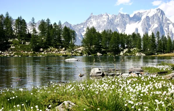 Картинка фото, Природа, Горы, Озеро, Деревья, Италия, Arpy lake