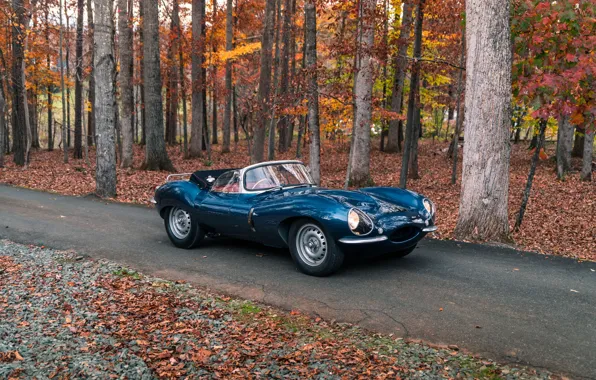 Картинка Jaguar, vintage, retro, 1957, XKSS, Jaguar XKSS