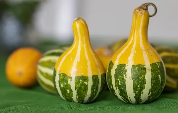 Фон, тыква, кувшинчики