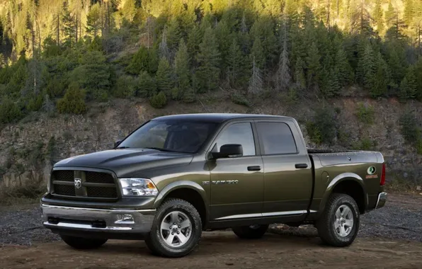 Лес, деревья, ель, Dodge, 1500, Ram