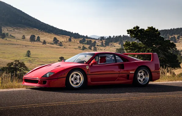 Картинка Ferrari, F40, Road, Wheels