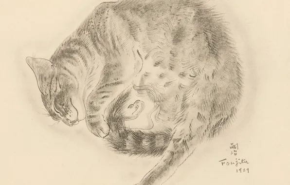 Картинка кошка, спит, пушистая, 1929, улыбаеться, Цугухару, Фудзита, Книга Кошек