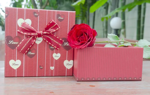 Картинка цветы, подарок, розы, pink, flowers, romantic, gift, roses