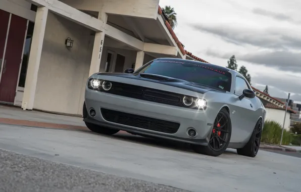 Dodge, Challenger, Vorsteiner, Wheels, Scat Pack, on, Boden Autohaus